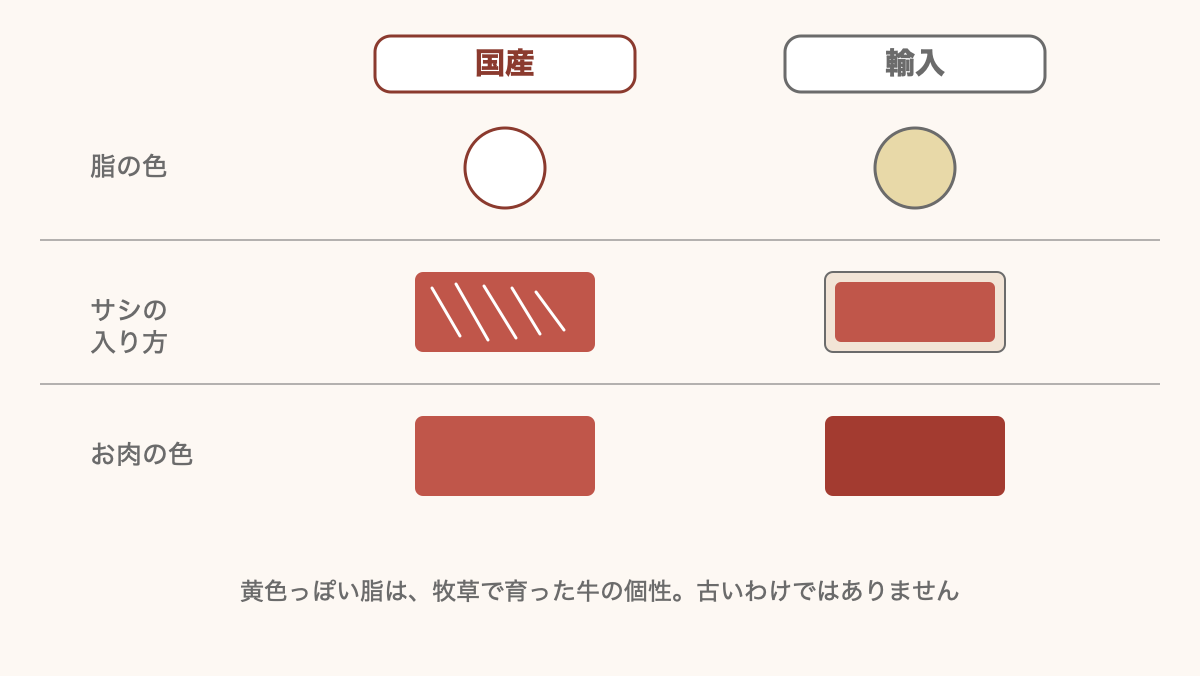 国産と輸入の牛肉の見た目の違いを比べた図。脂の色・サシの入り方・お肉の色の3項目を左右で対比している