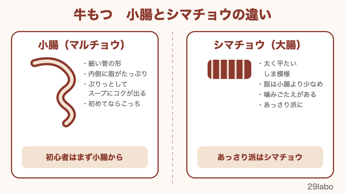 小腸(マルチョウ)とシマチョウ(大腸)の違い